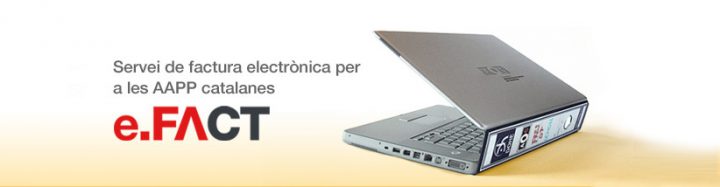 Electronic invoice (EFACT)